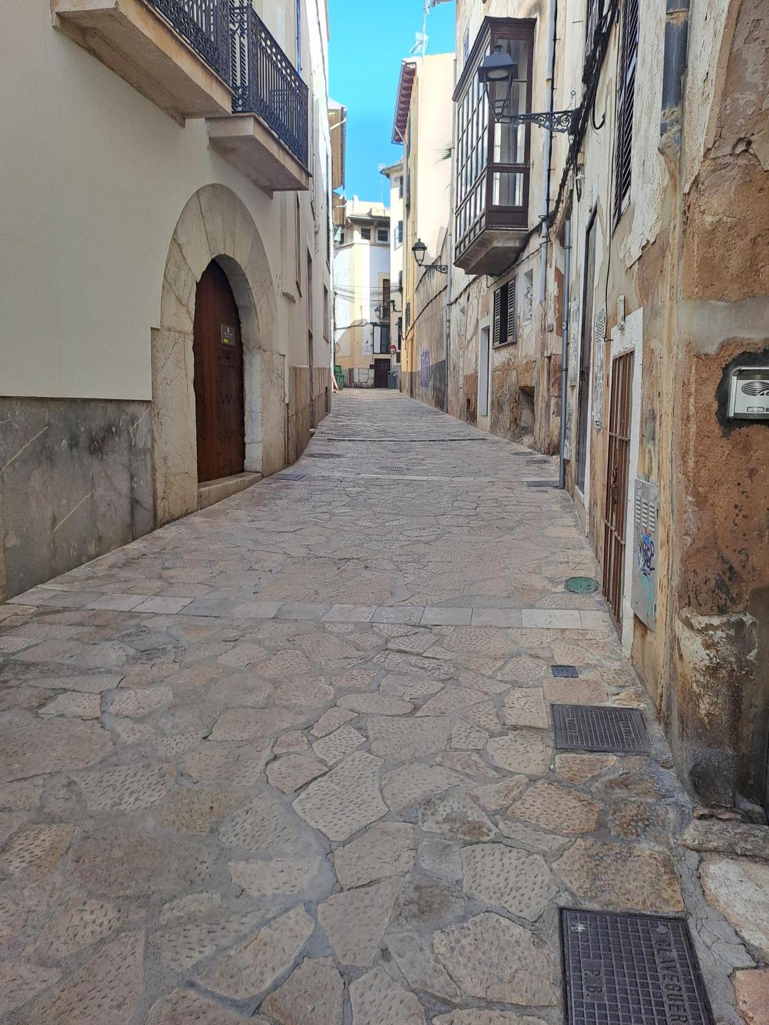 Mystique Palma de Maiorca