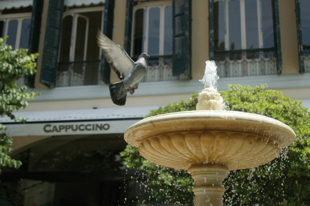 Cappuccino -