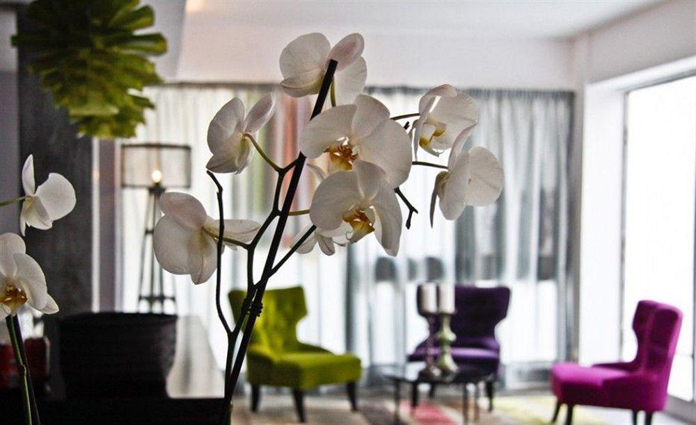 Hotel Feliz Palma de Maiorca
