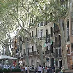 Rambla Palma Center