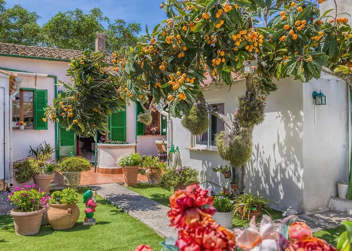 Casa Vileta