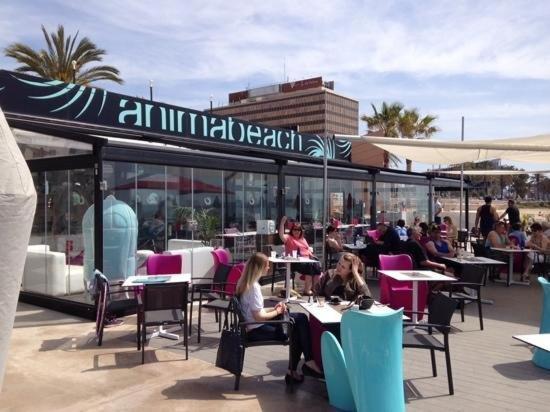 Pere Antoni Apartamento Palma de Maiorca