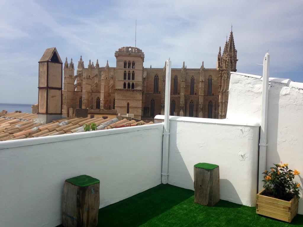 Pura Vida - Juvenil * Palma de Mallorca