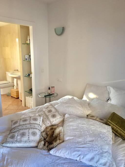 Apartment Experience Beautiful Duplex Penthouse With Terrace In *