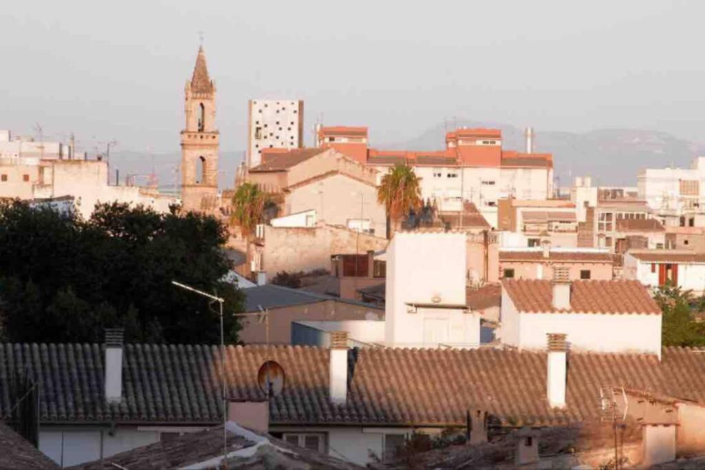Experience Beautiful Duplex Penthouse With Terrace In Palma de Mallorca