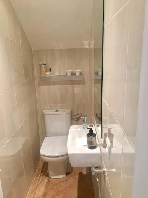 Experience Beautiful Duplex Penthouse With Terrace In Apartment *