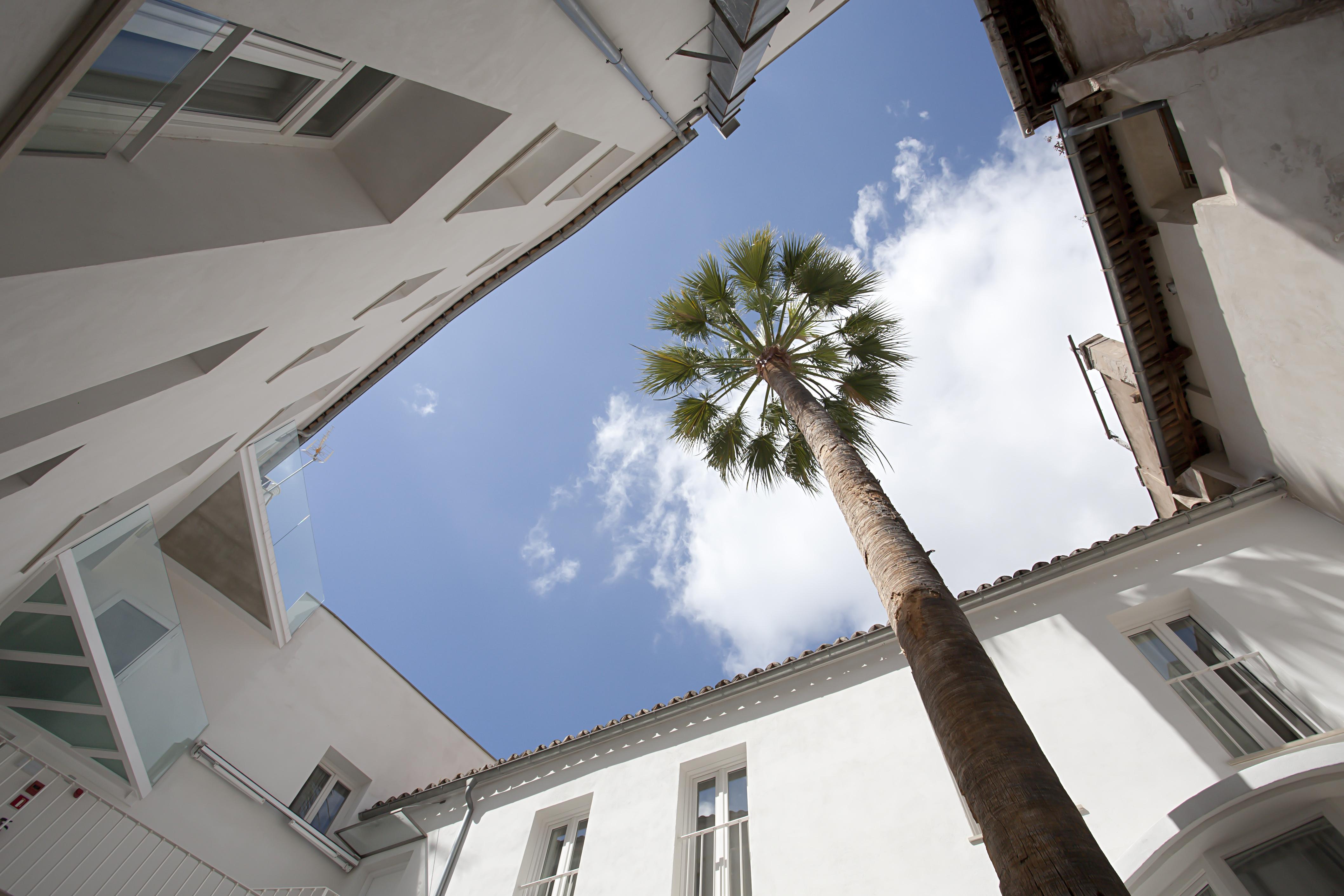 Hotel Puro Oasis Urbano 4*