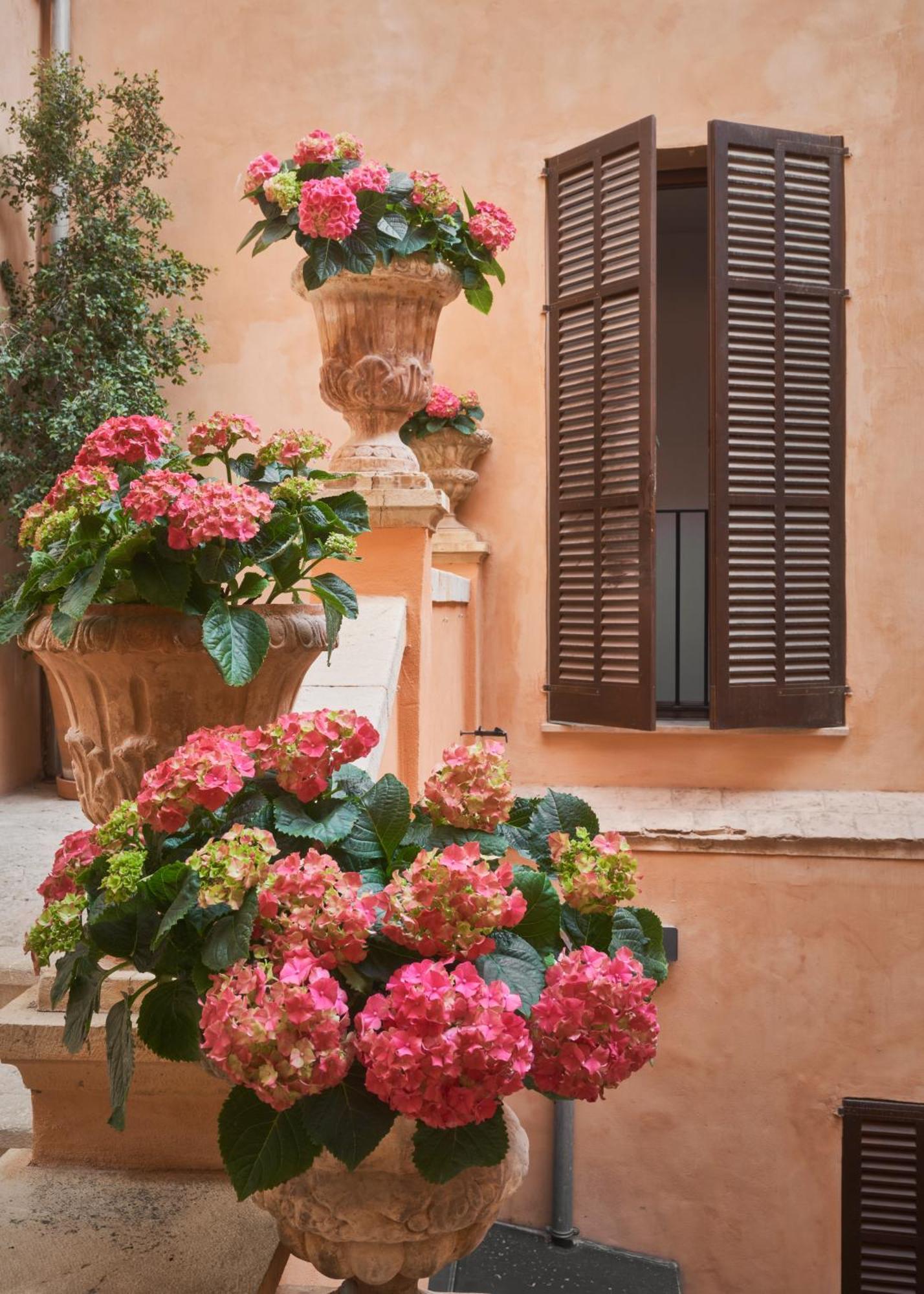 Hotel Boutique Terra Santa Palma de Maiorca