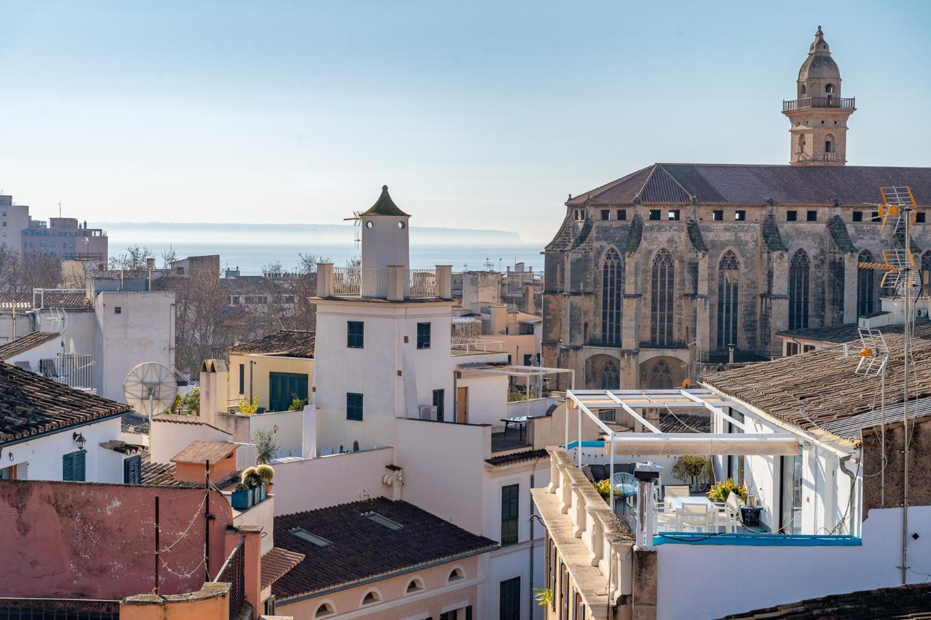 - Ti Palma de Mallorca