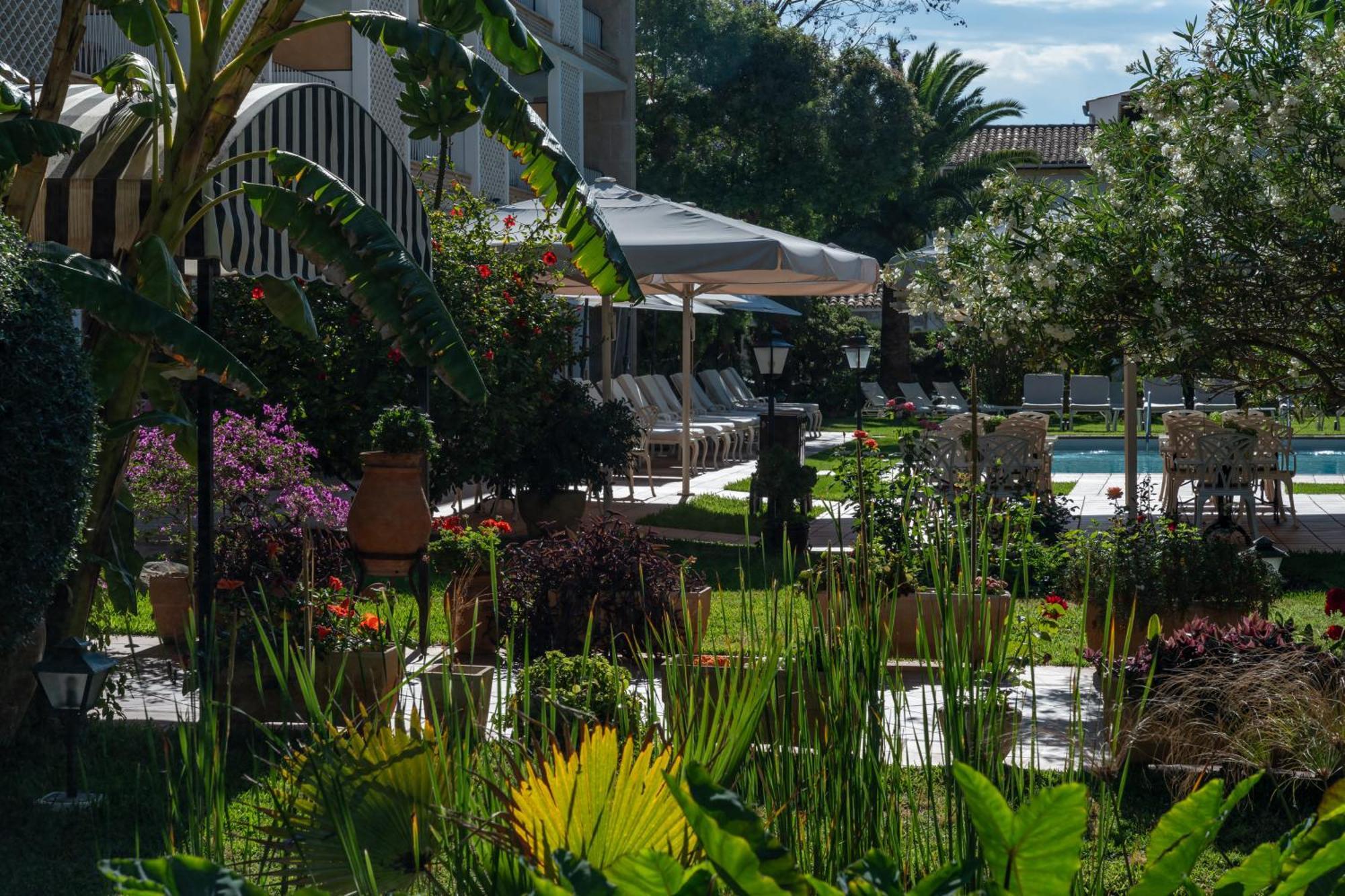 Araxa - Adults Only Palma
