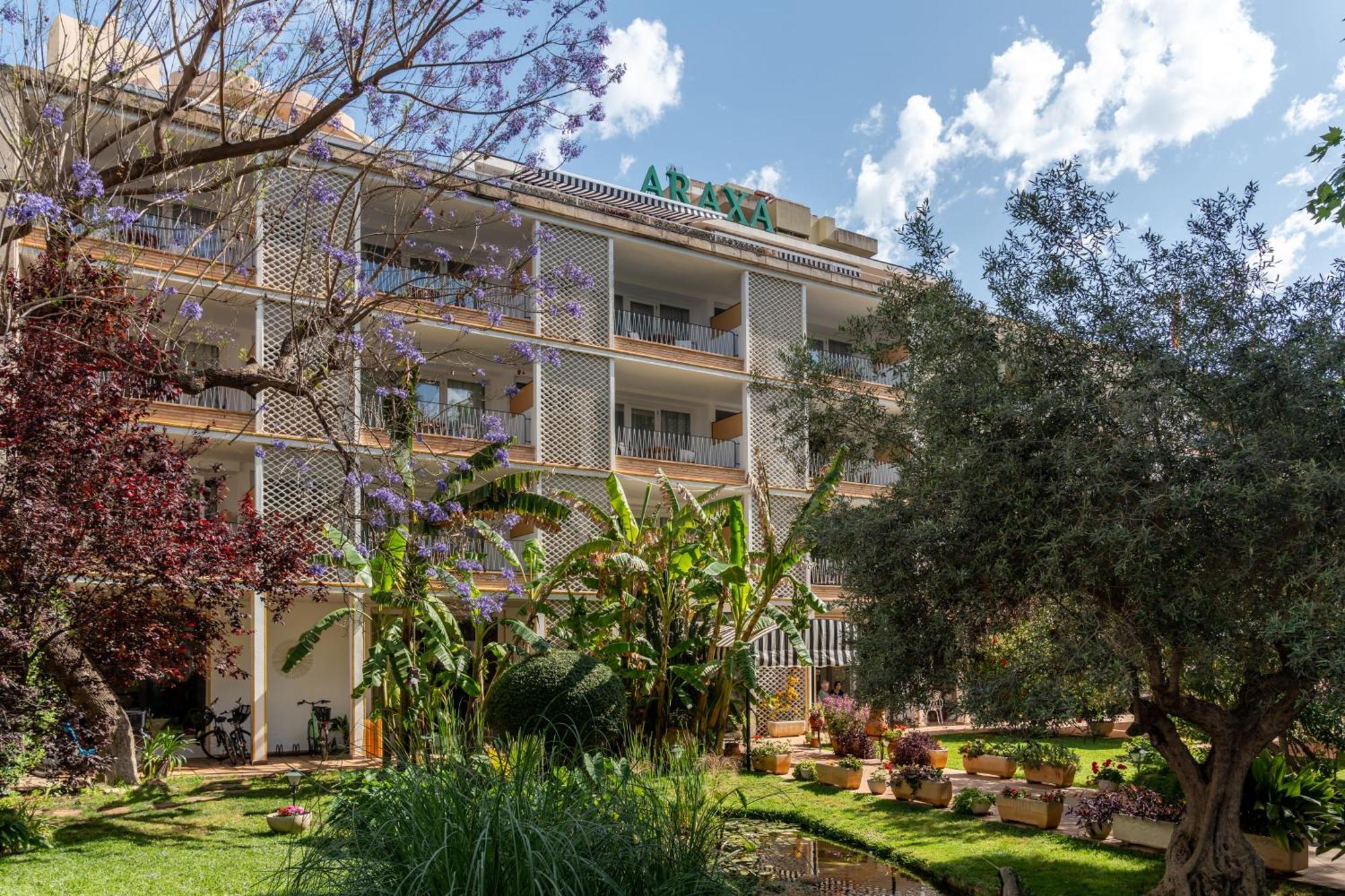 Araxa - Adults Only 3* Palma