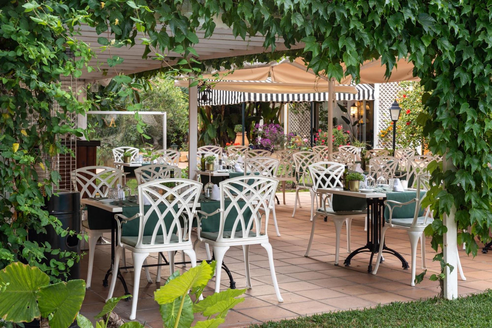 Araxa - Adults Only 3* Palma