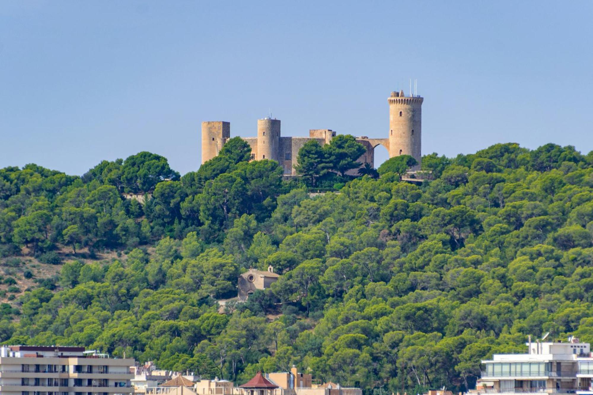 Gomila Park Palma de Mallorca