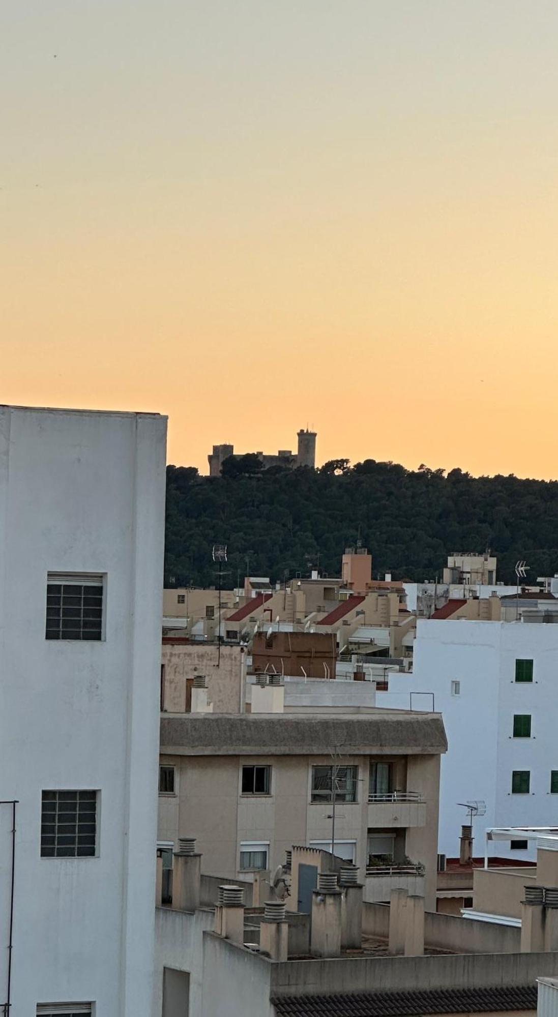 Wine & Views Palma de Mallorca