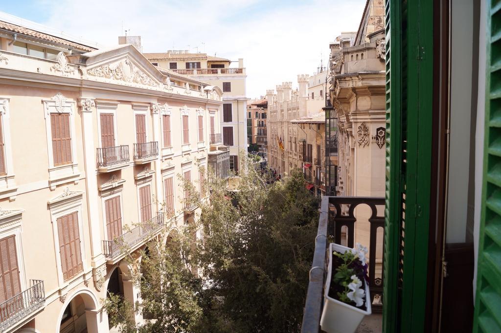 Hostel Pura Vida - Juvenil Palma de Mallorca