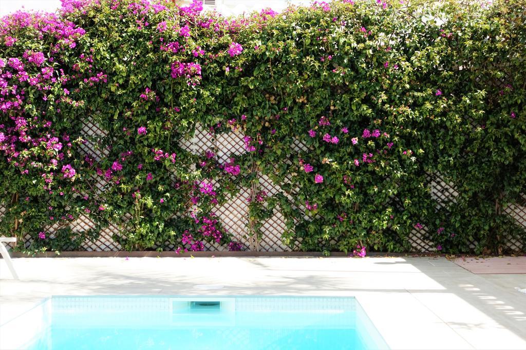 Holiday home Casa Molinar Palma de Mallorca