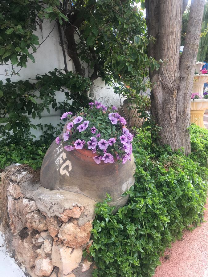 Cala D'or Park *