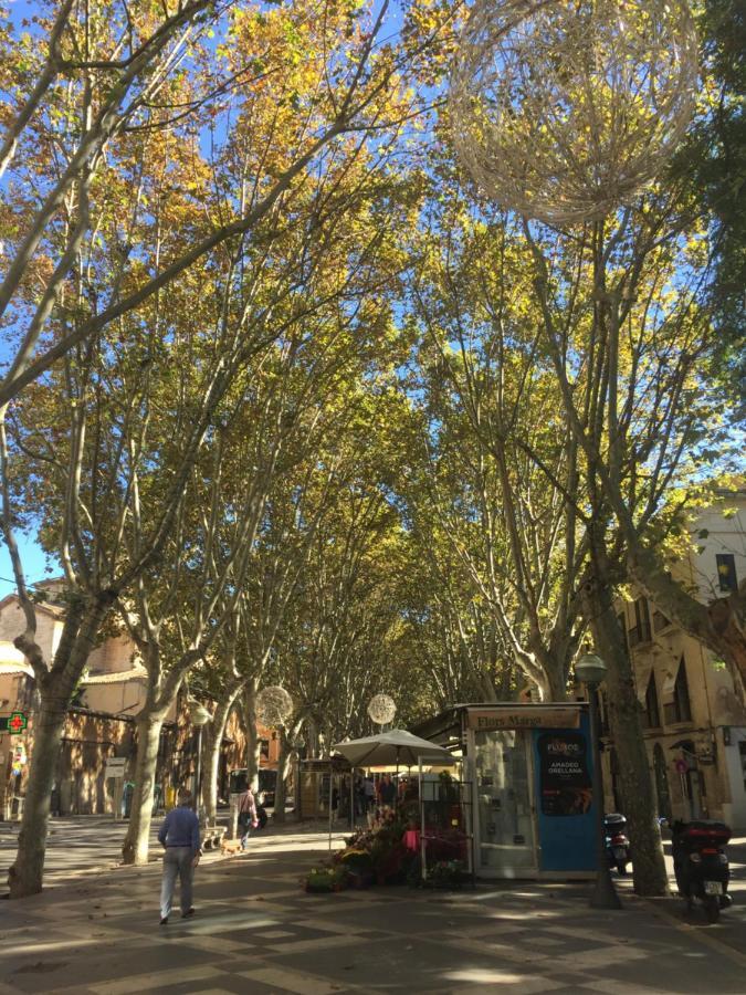 Apartamento Cream Homes La Rambla, Turismo De Interior Palma de Maiorca