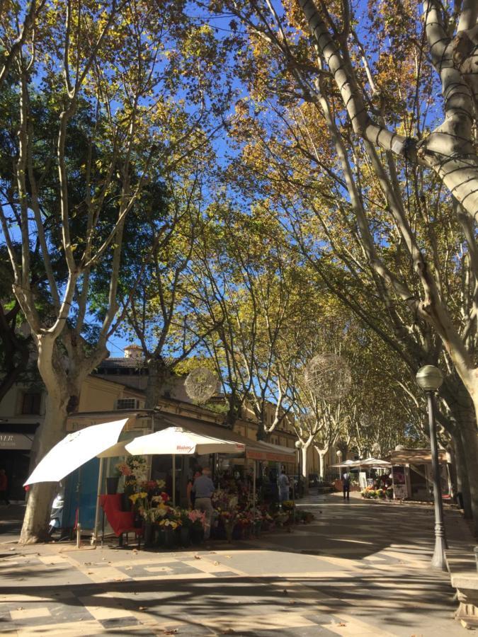 Apartamento Cream Homes La Rambla, Turismo De Interior