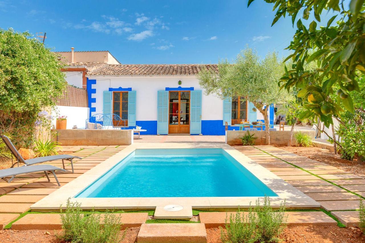 Villa Palma, Establiments Palma