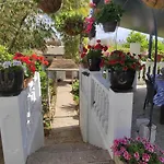 The Green House - Adults Only