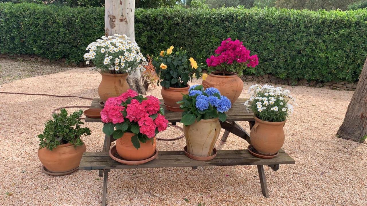 Kentia Mallorca, Charming And Stylish Close To * Palma de Mallorca