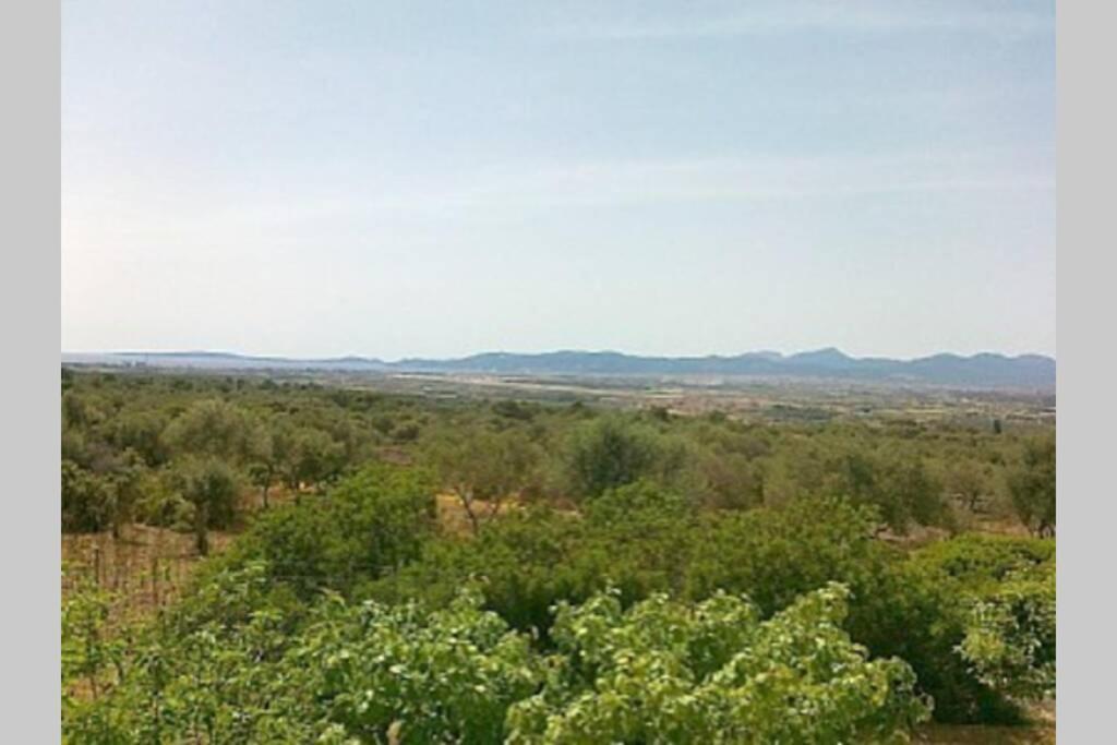 Son Binissalom Biệt thự Palma de Mallorca