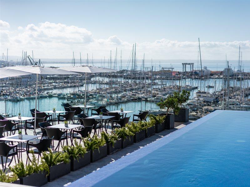 Mirador Palma