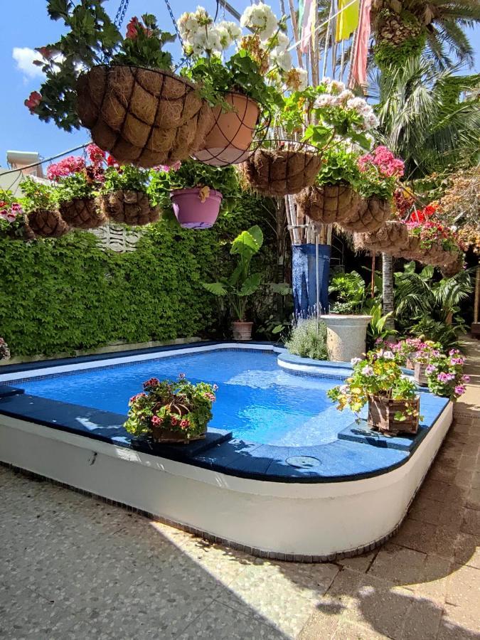 The Green House - Adults Only