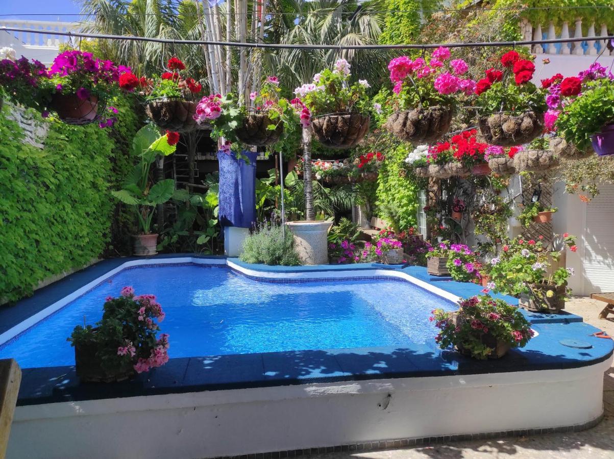 Apartamento The Green House - Adults Only *