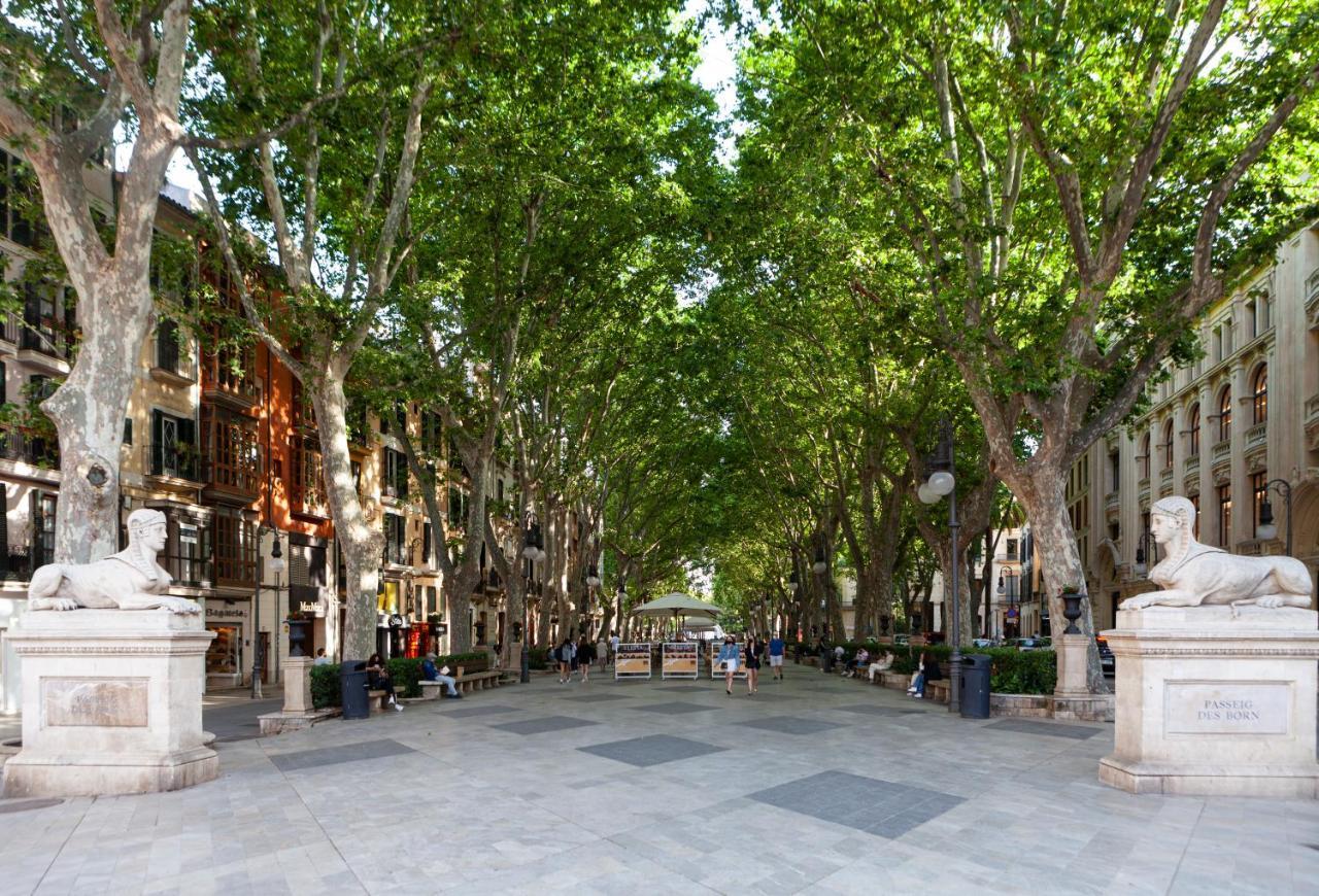 Khách sạn Nivia Born Boutique Palma de Mallorca
