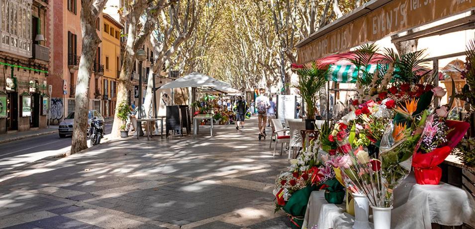 Nhà khách Rambla Center Palma de Mallorca