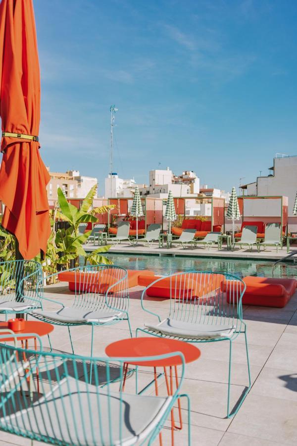 Albergue The Boc - *