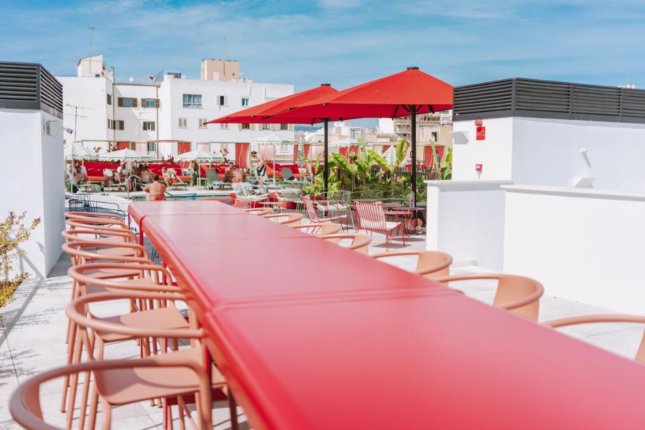 The Boc - Albergue