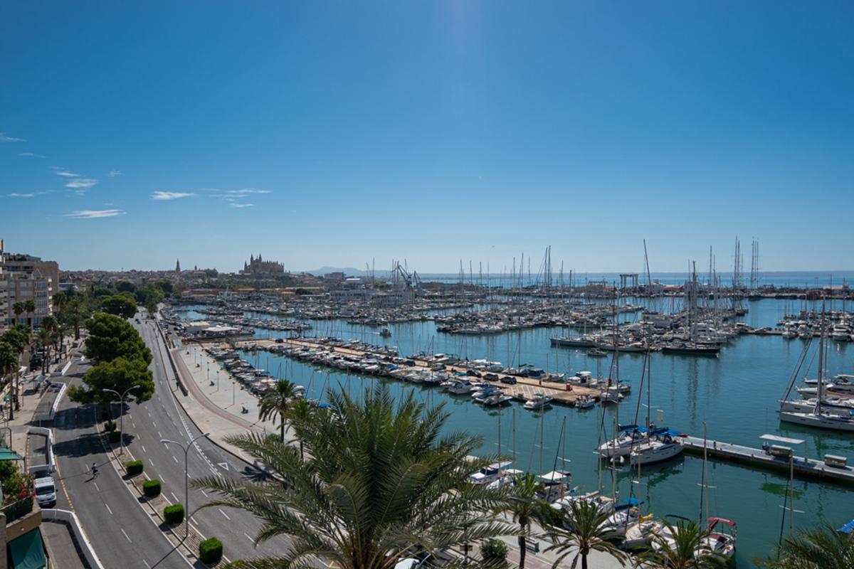 Mirador Palma