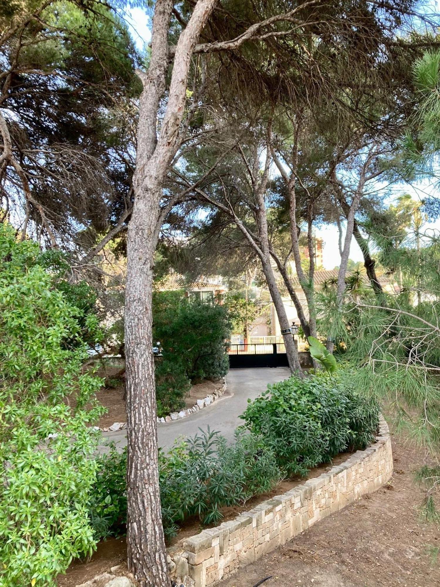 Las Maravillas, 250m From The Beach Villa