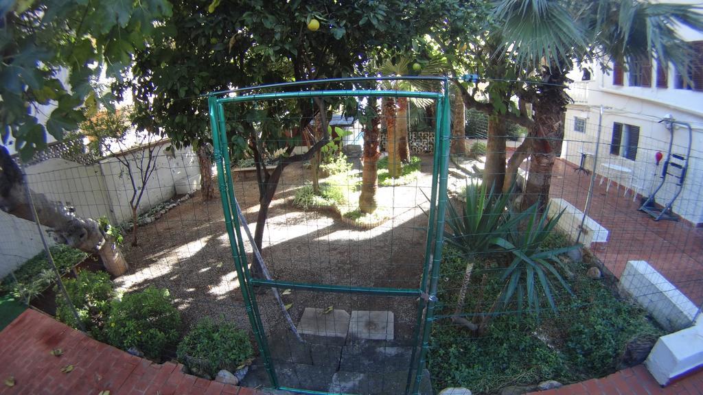 La Mimosa Palma de Mallorca