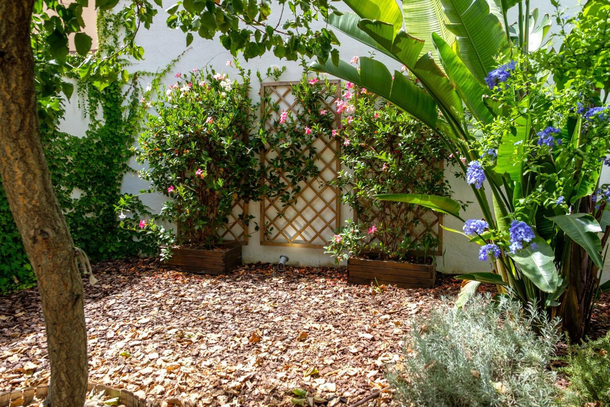 Pretty House Sa Font In Santa Catalina