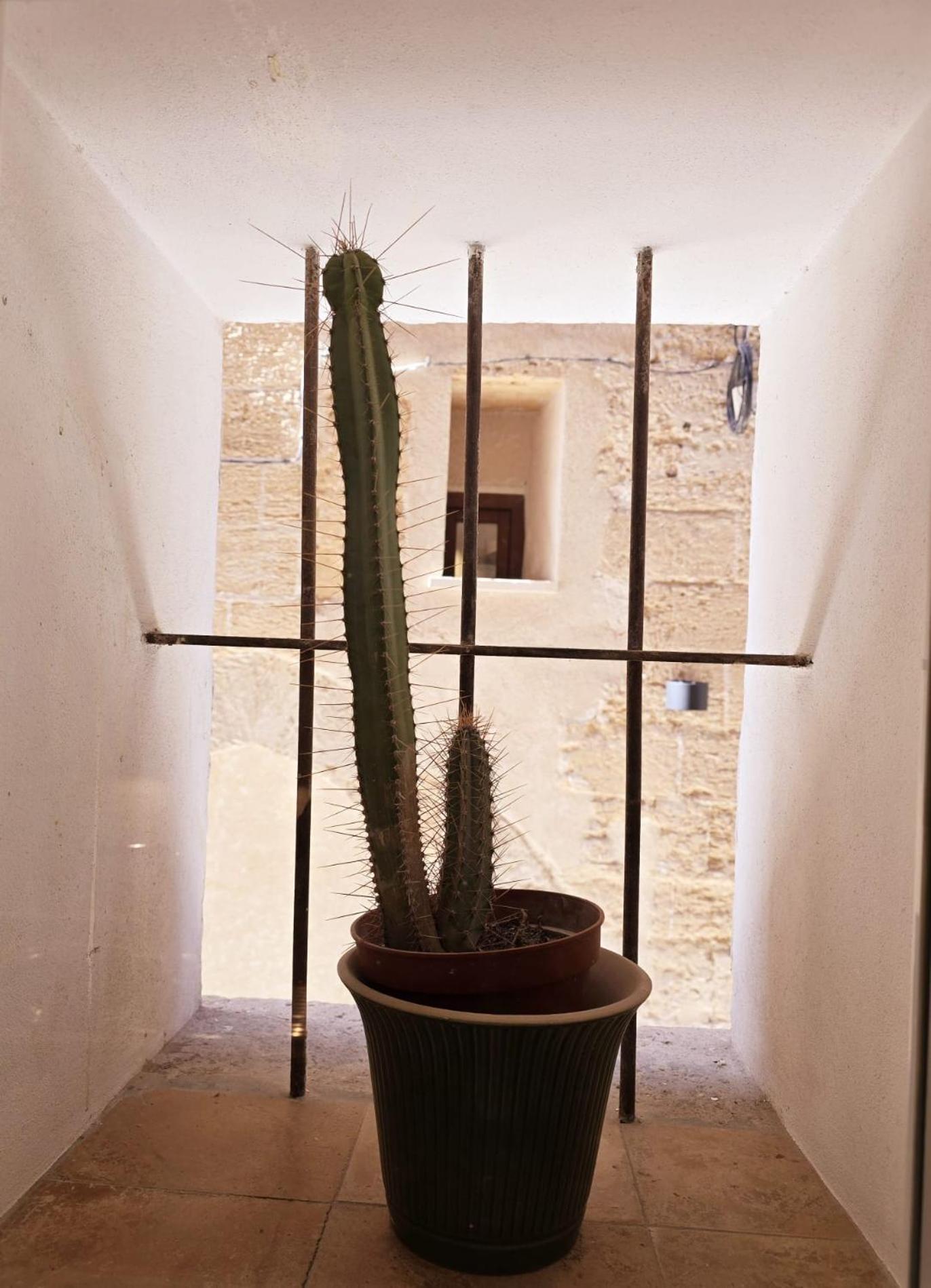 Apartment San Jaime Palace - *