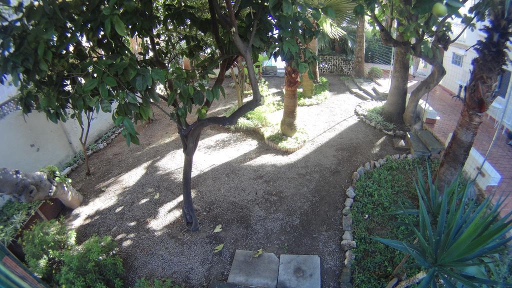 La Mimosa Nhà khách Palma de Mallorca