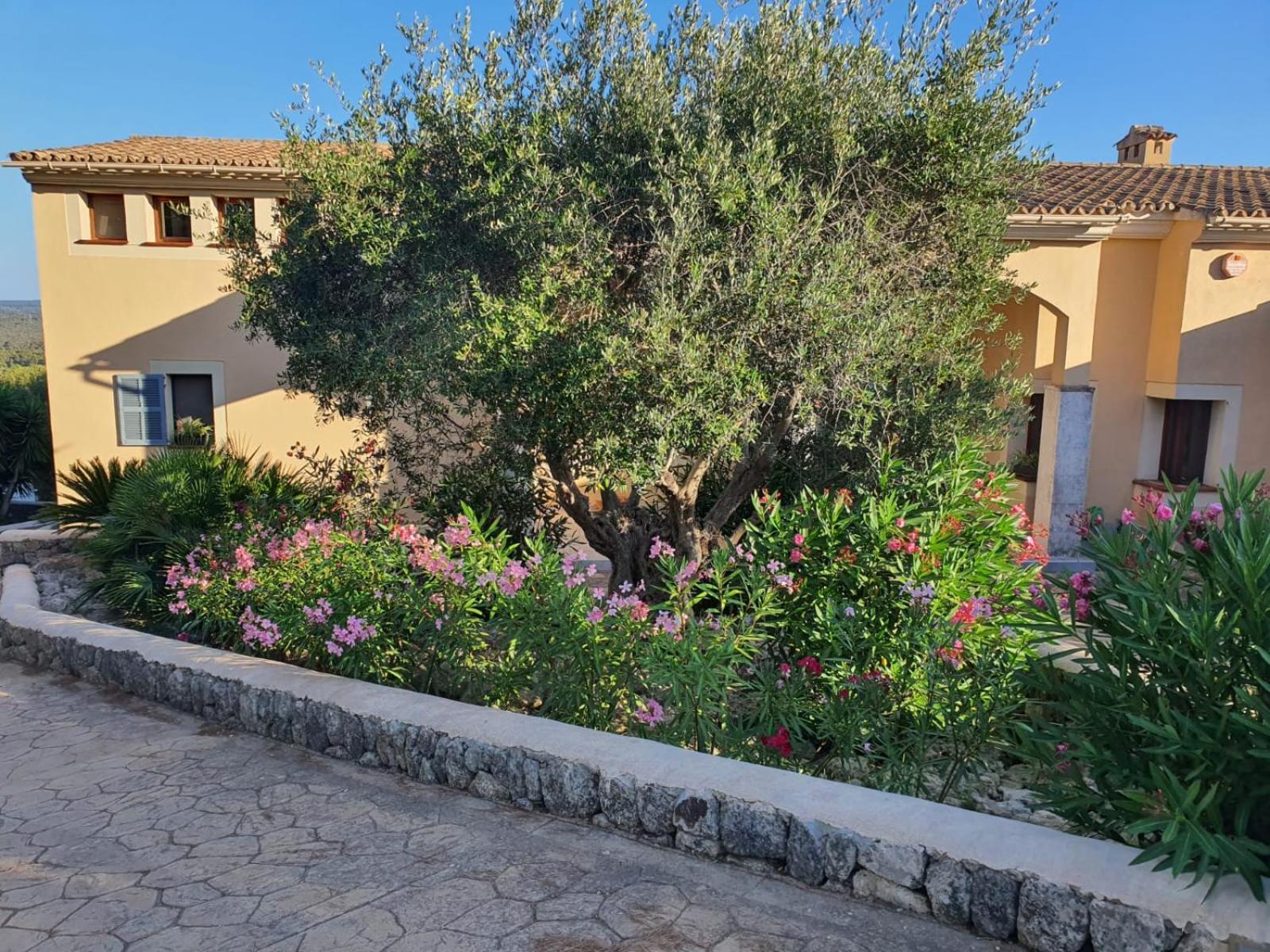 Holiday home The House Palma de Mallorca