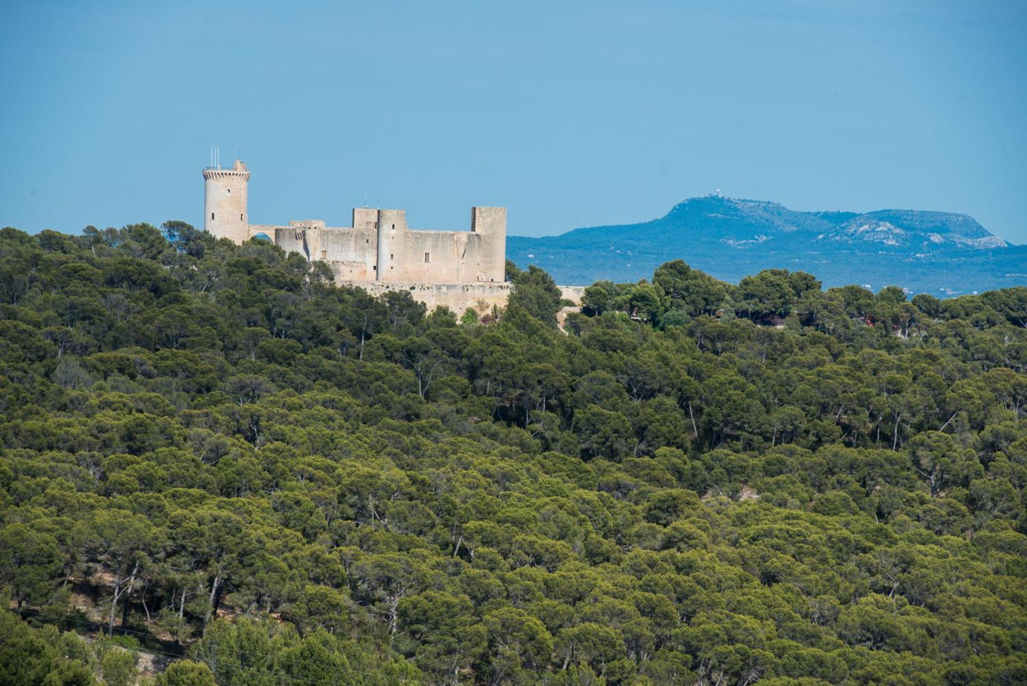Rei Des Pla * Palma de Mallorca
