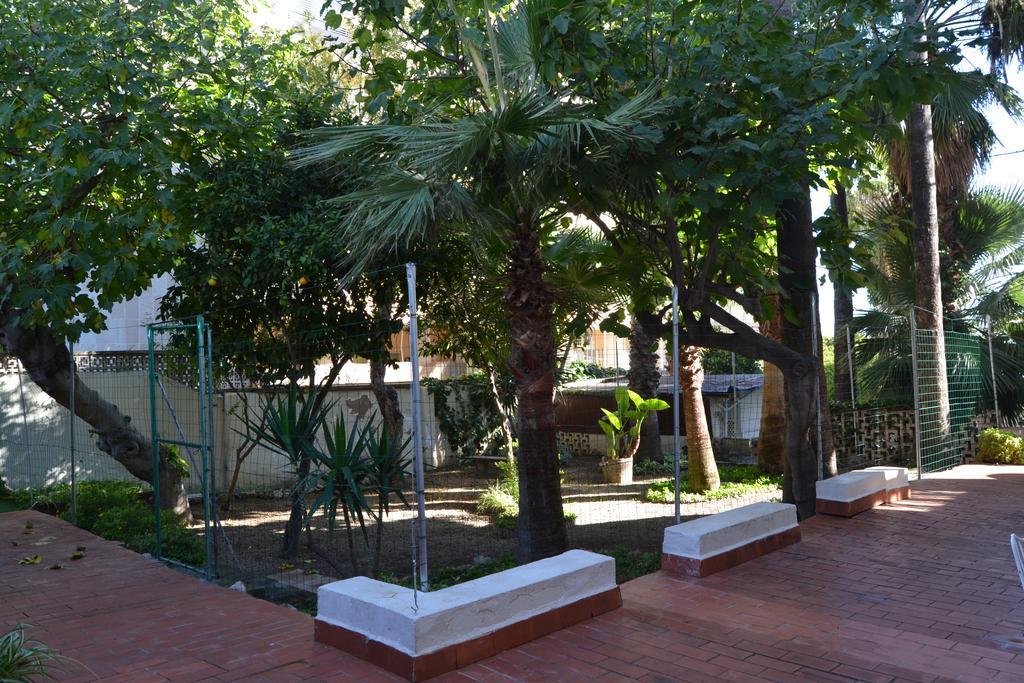 La Mimosa Palma de Mallorca