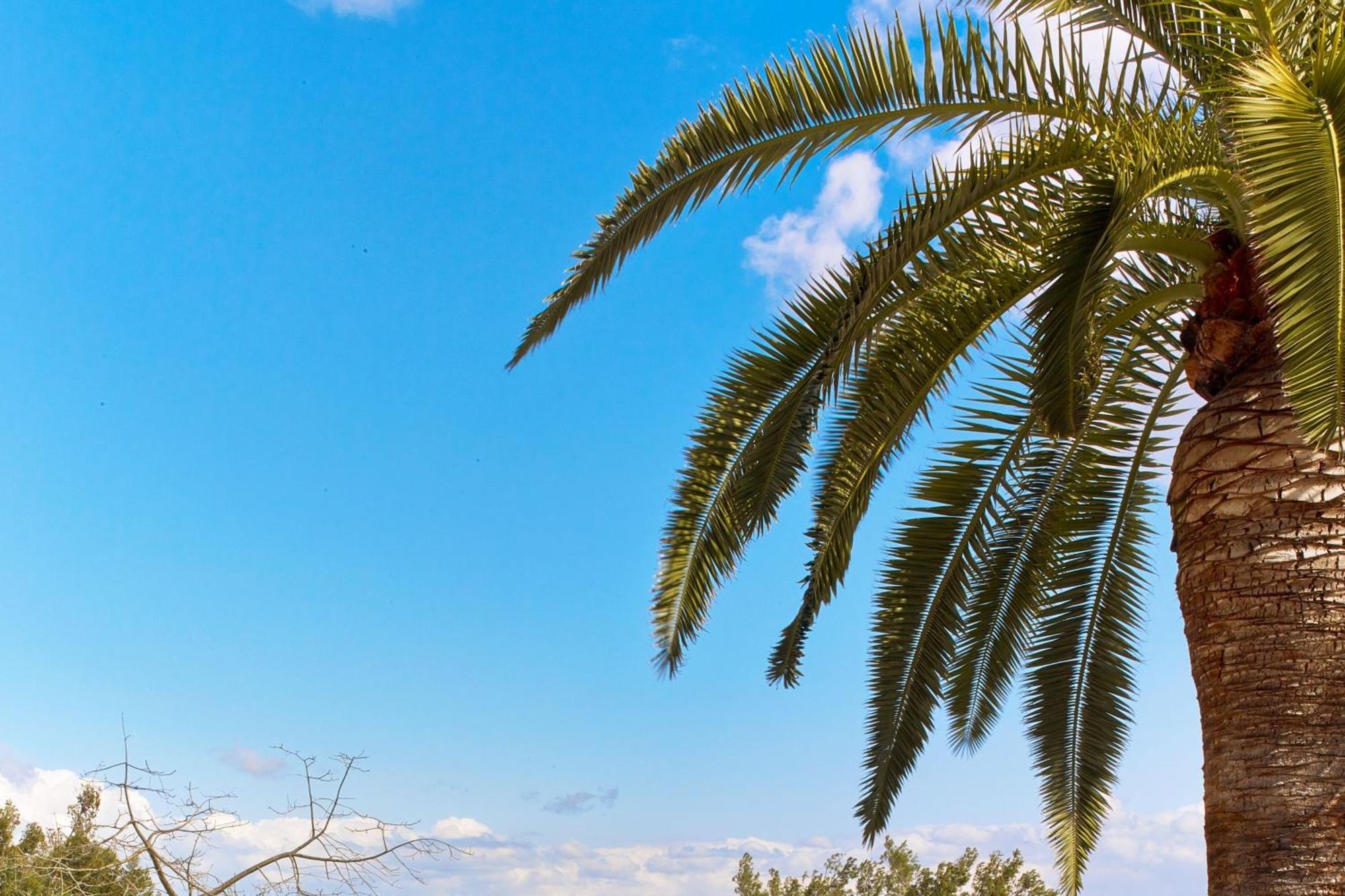 Hotel Castillo Son Vida, A Luxury Collection Hotel, Mallorca (adults Only) Palma
