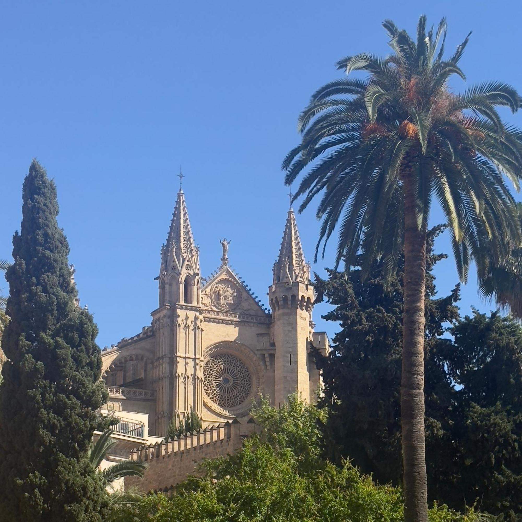 Homestay Dog Admiral - Urban Palma de Mallorca