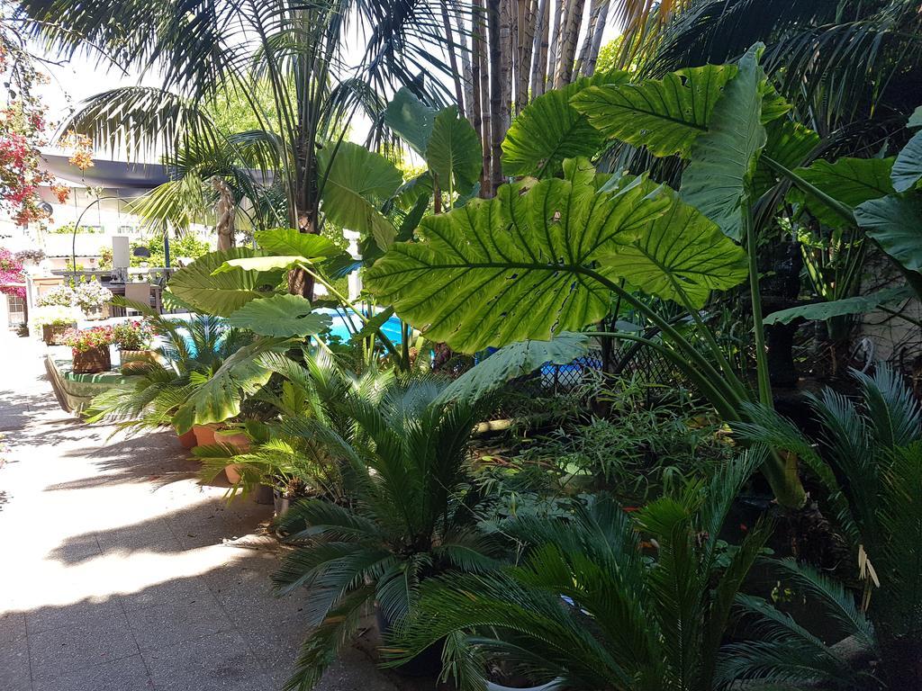 The Green House - Adults Only