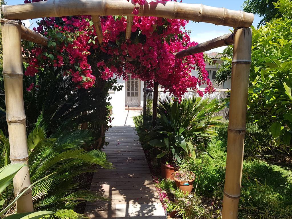 The Green House - Adults Only Apartamento Palma de Maiorca