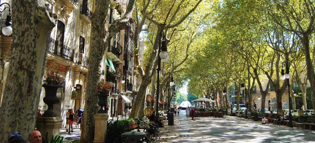 Borne Ti By Mallorcasuites Palma