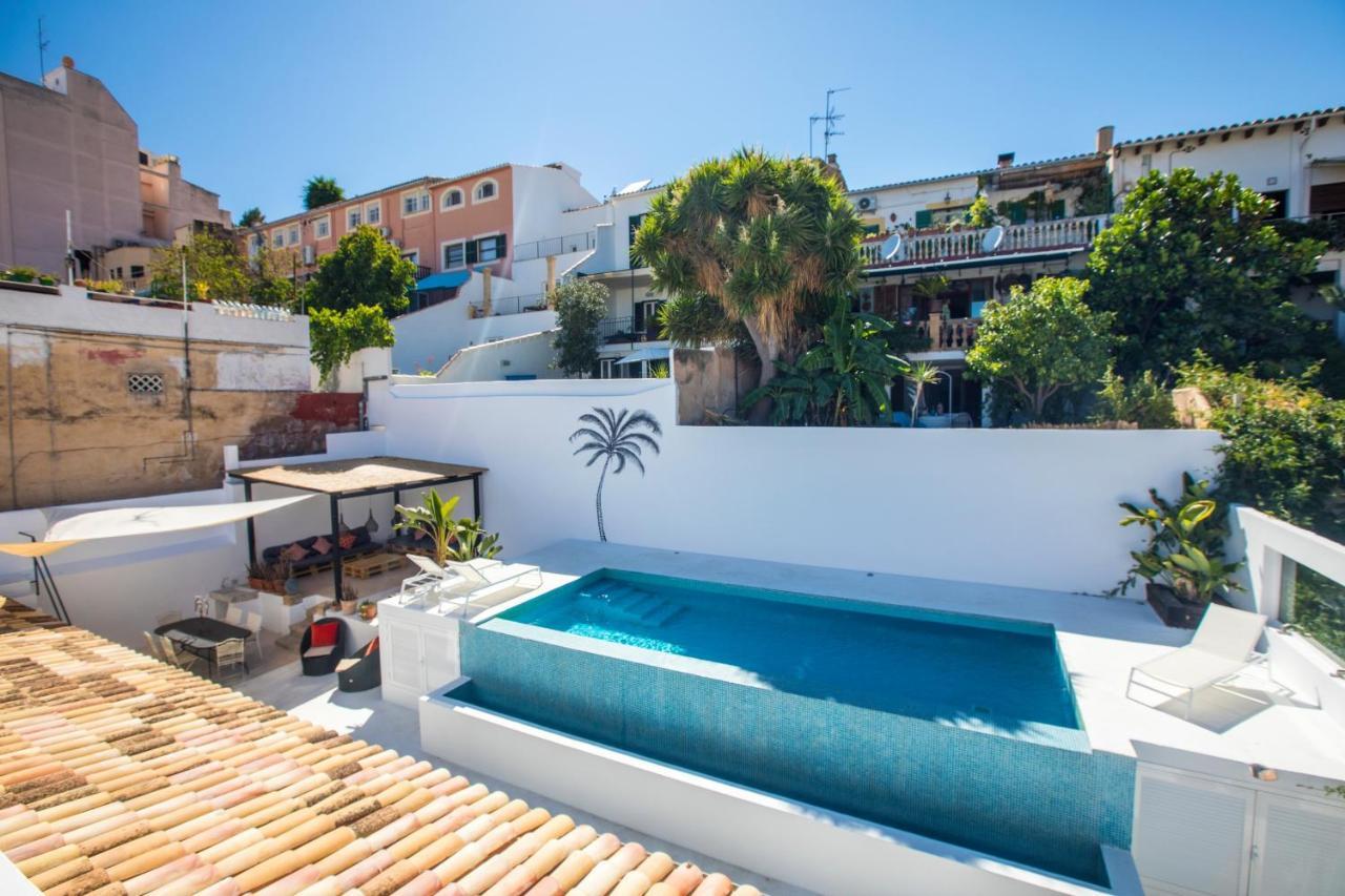 Oasis Terra Blanca *