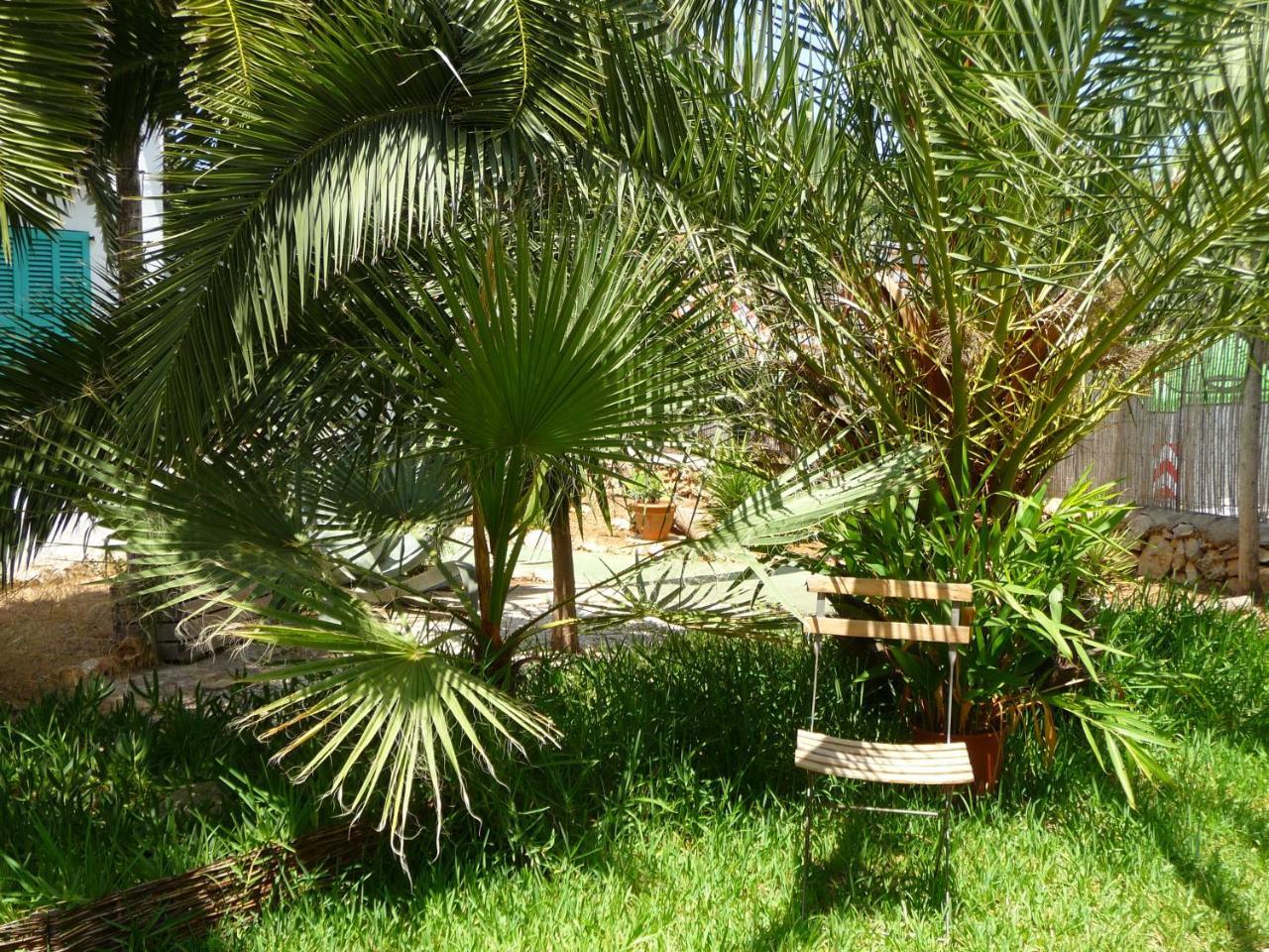 Aparthotel Casa Molily *
